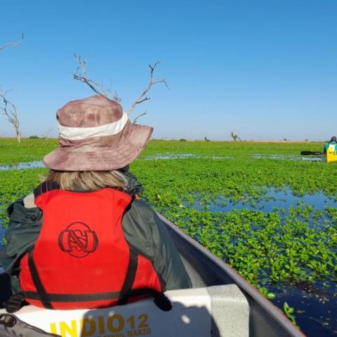 Aventura en El Bañado La Estrella - 7 maravillas naturales de Argentina - Formosa 