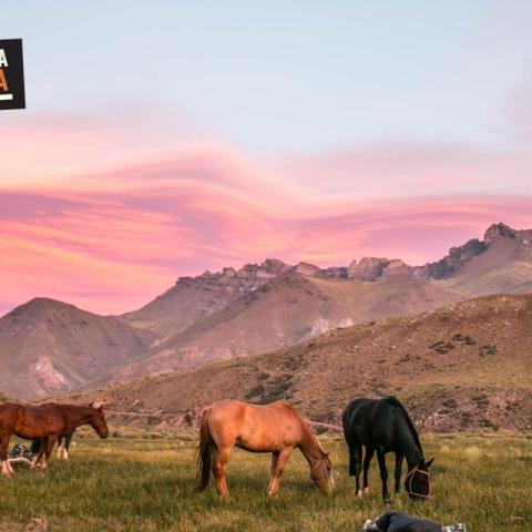 Cruce de los Andes a Caballo - Sur de Mendoza - Malargue